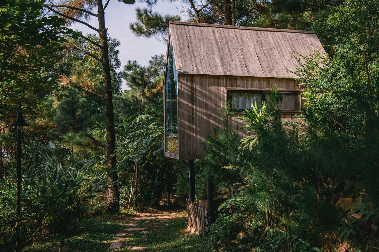 Nhà Gỗ Rừng Thông (ULS) Sóc Sơn