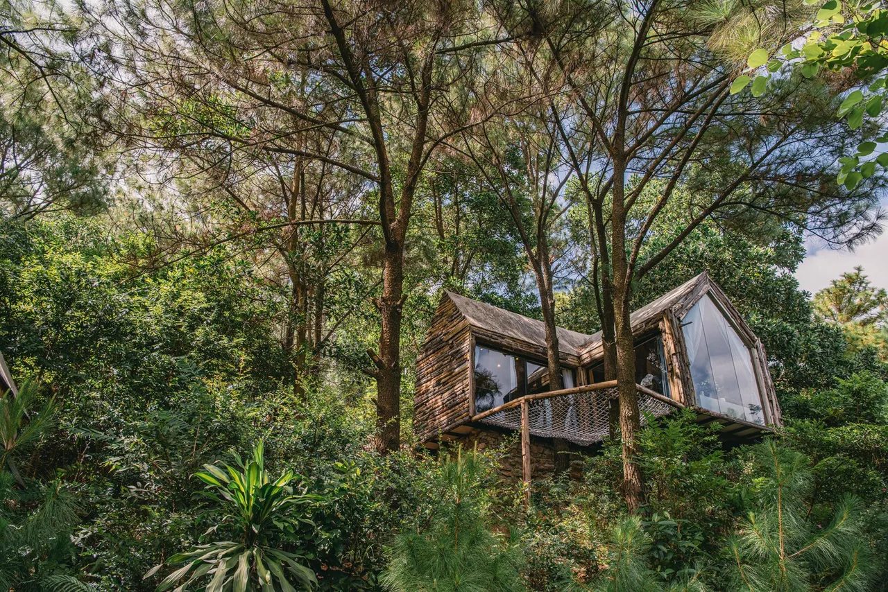 Nhà Quả Thông Lớn Sóc Sơn