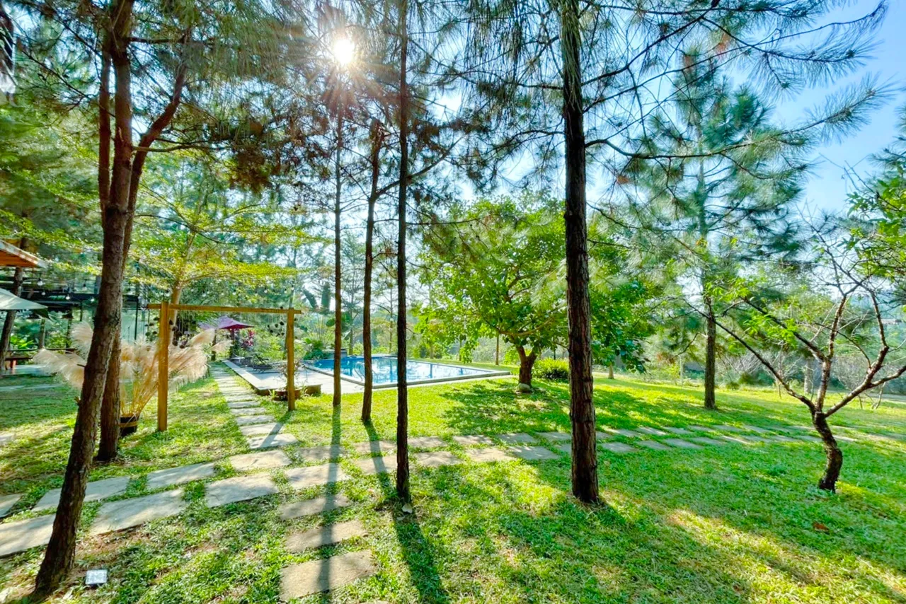 Wood House Sóc Sơn