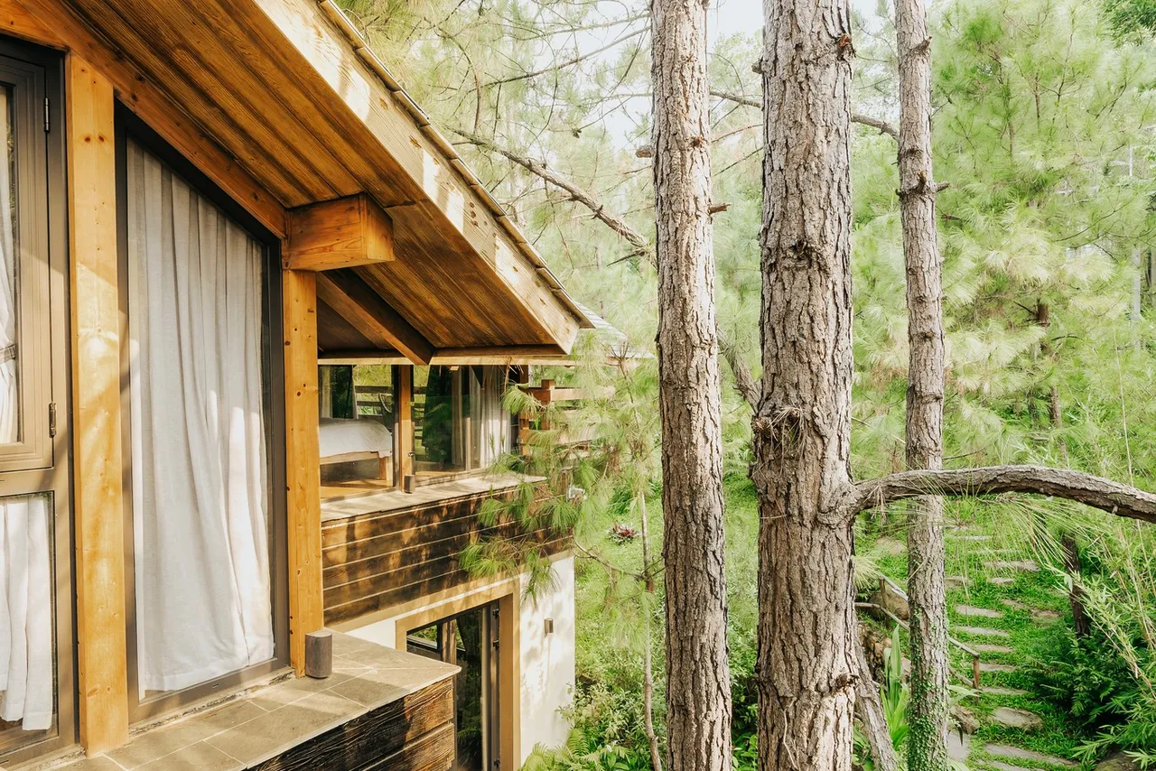 Phòng Birdnest (Amaya Home) Sóc Sơn