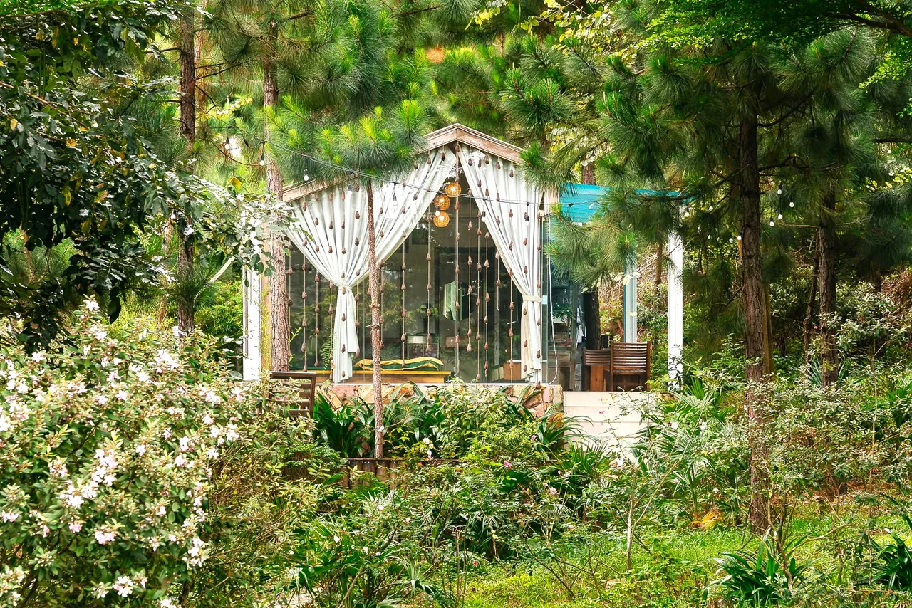 Nhà Full House Pine Sóc Sơn