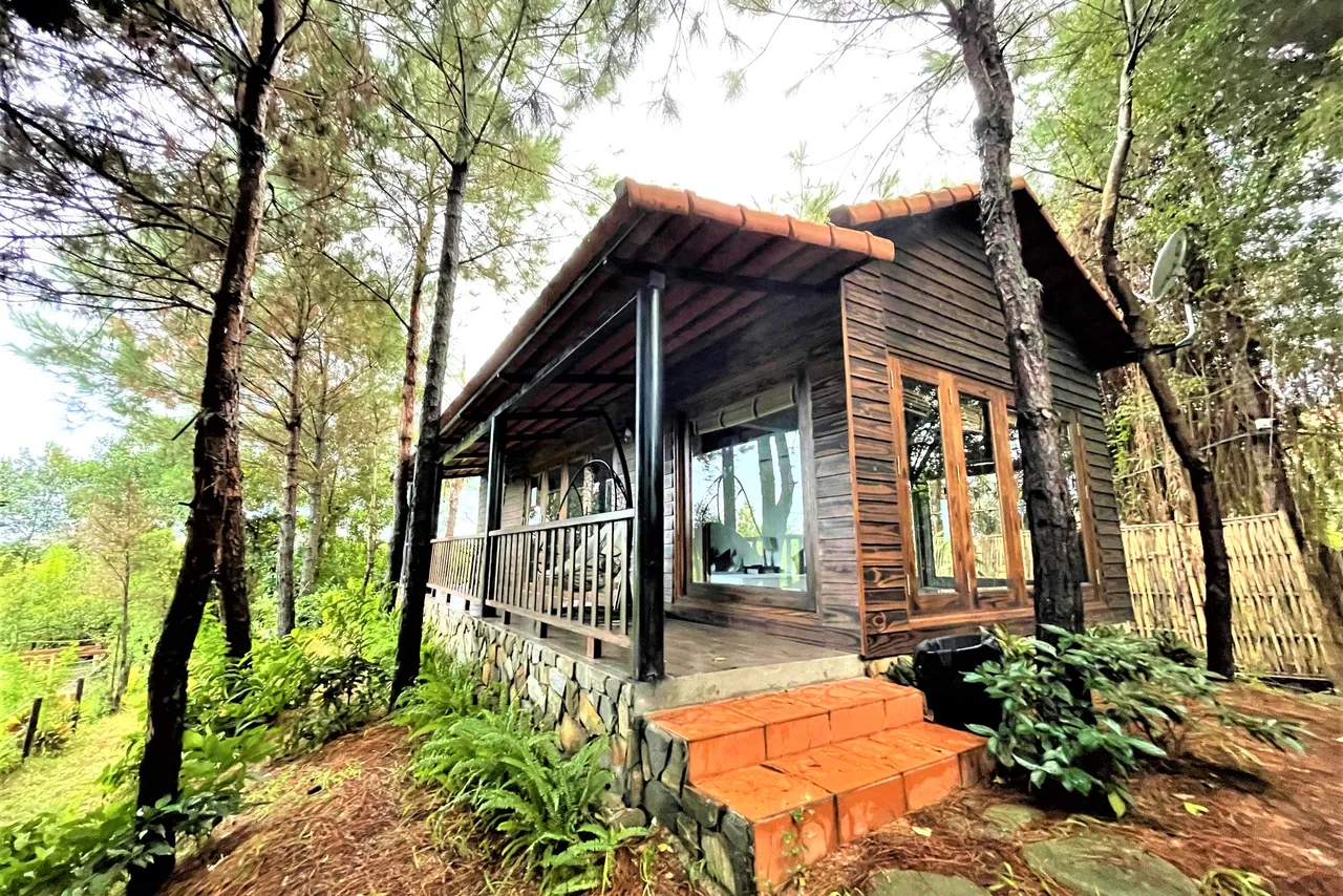 Nhà Đồi Thông Sóc Sơn