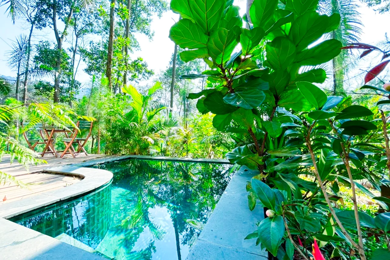 Oliu Homestay Sóc Sơn