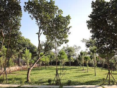 Bố trí phòng