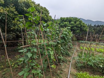 Bố trí phòng