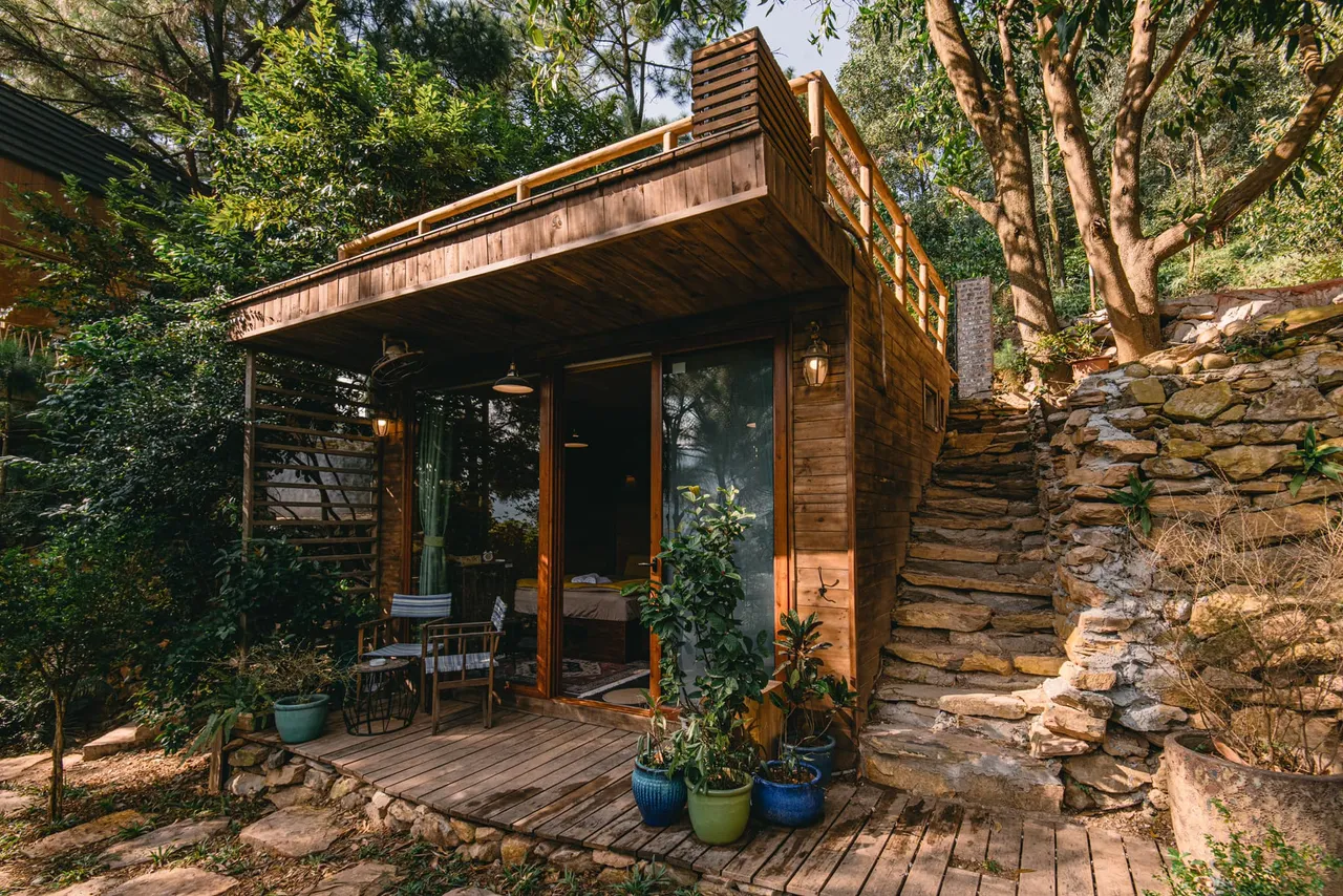 Dương Xỉ Mini Sóc Sơn