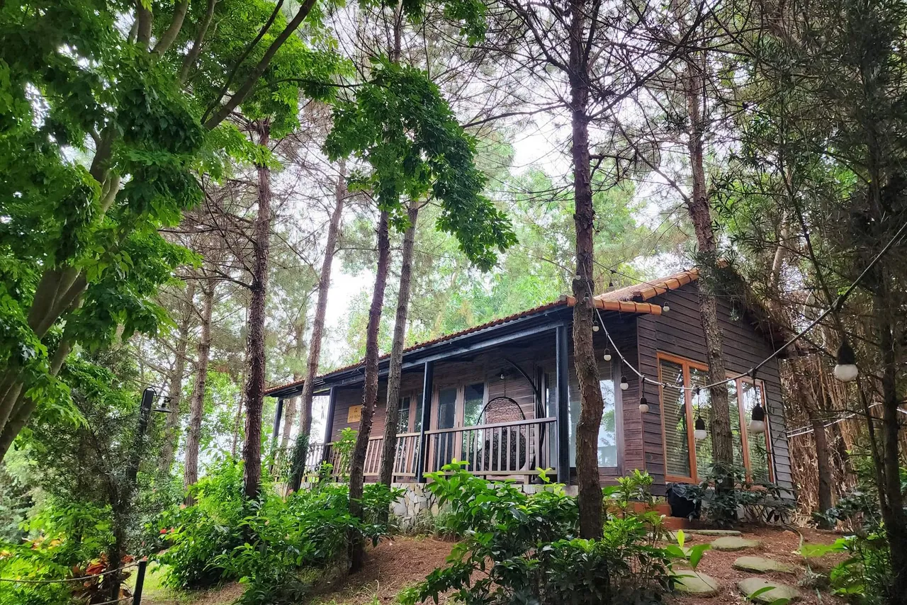 Nhà Đồi Thông Sóc Sơn