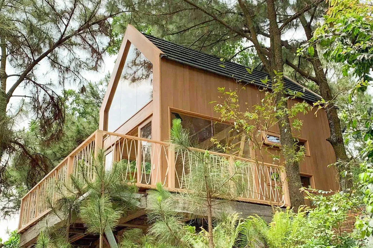 Nhà Dương Xỉ Sóc Sơn