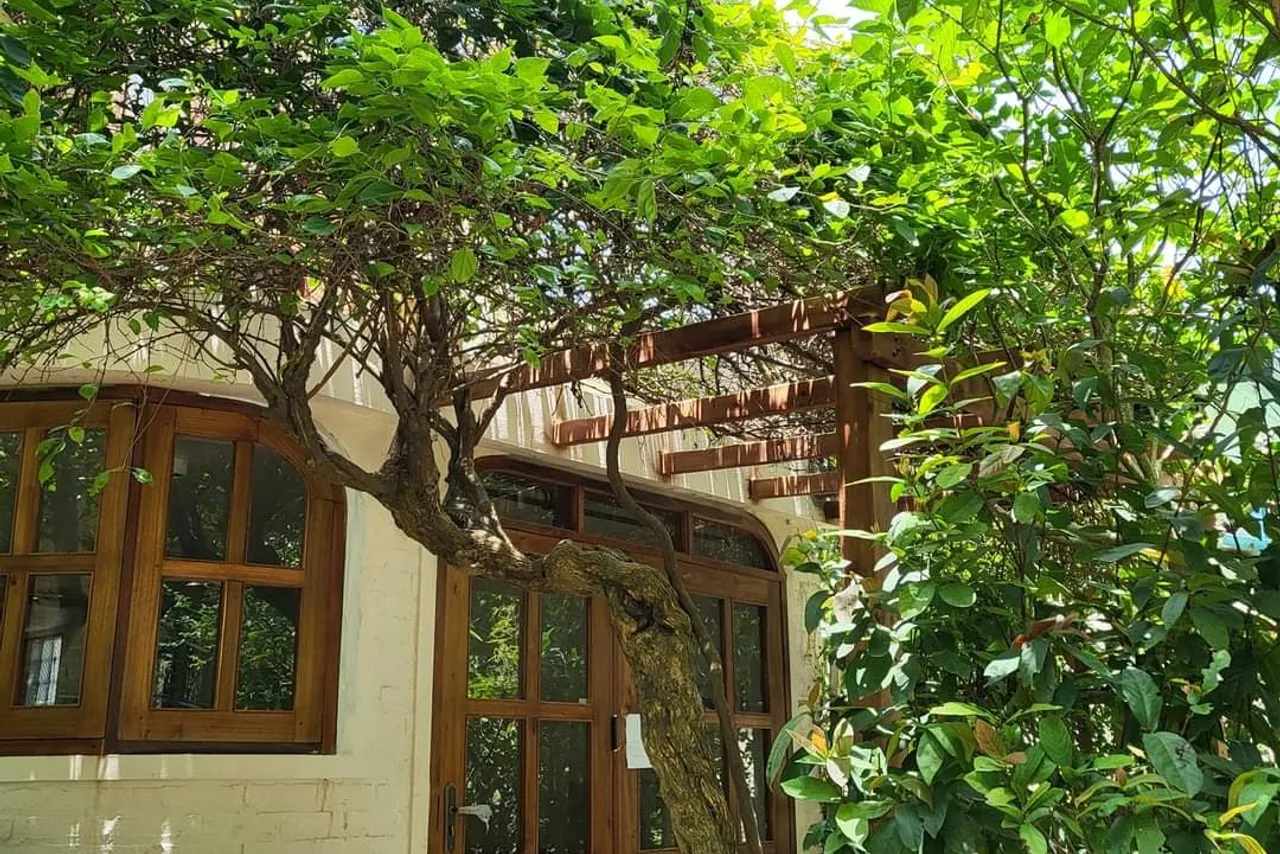 Nhà Hoa Giấy Tầng 1 Sóc Sơn